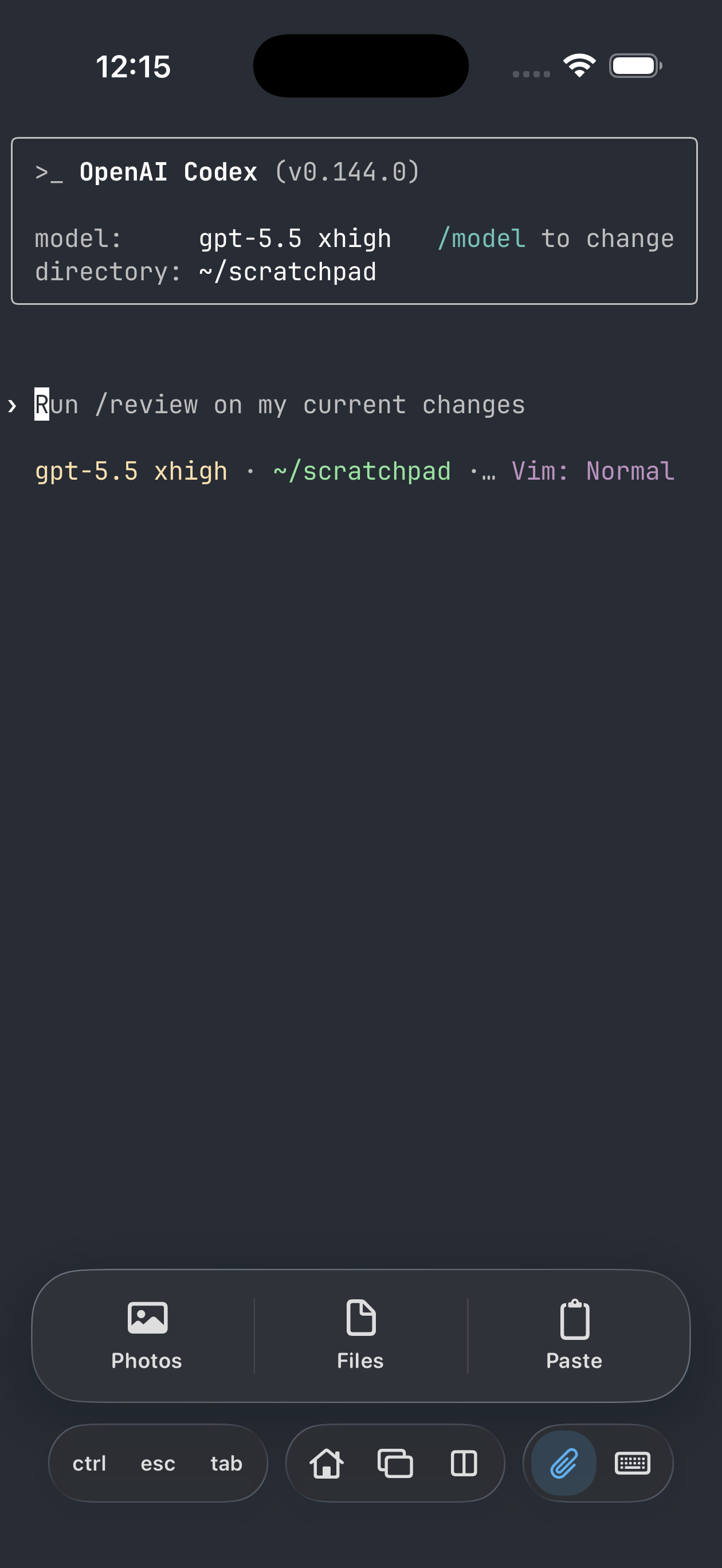 Remux terminal with Photos, Files, and Paste attachment options open